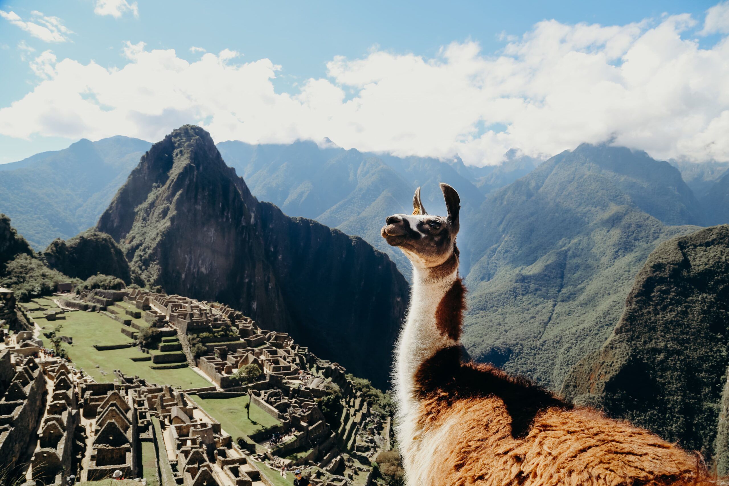 Full Day Machu Picchu ( Traslados, Trenes, Guia, bus, ticket a Machu  Picchu)
