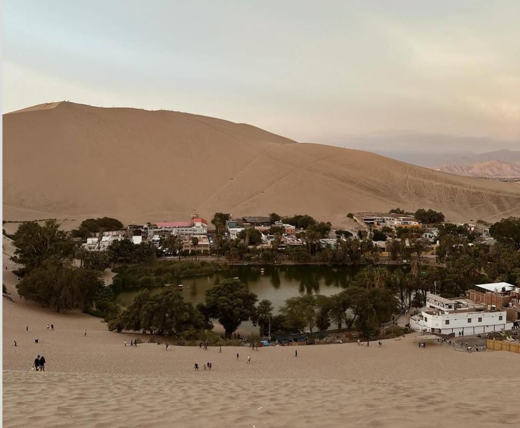 Full Day Tour Ica, Paracas, Islas Ballestas, Oasis de Huacachina y Ruta del Pisco + Almuerzo buggies y sandboarding