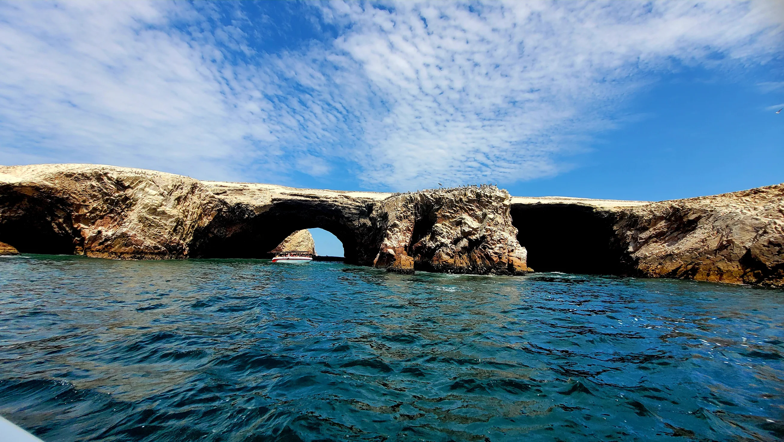 Full Day Tour Ica, Paracas, Islas Ballestas, Oasis de Huacachina y Ruta del Pisco + Almuerzo buggies y sandboarding
